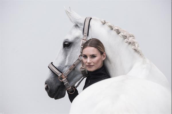 Grote foto headcollar glitter mesh doublepin heritage 20 21 color ivo dieren en toebehoren paarden accessoires