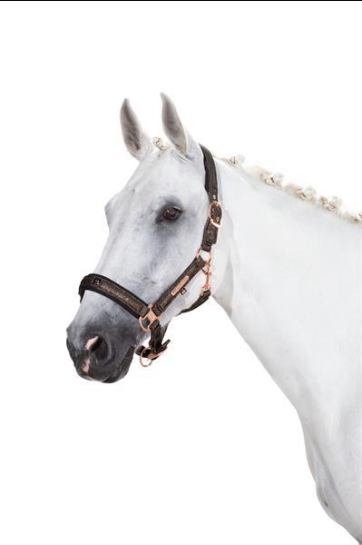 Grote foto headcollar glitter mesh doublepin heritage 20 21 color ivo dieren en toebehoren paarden accessoires