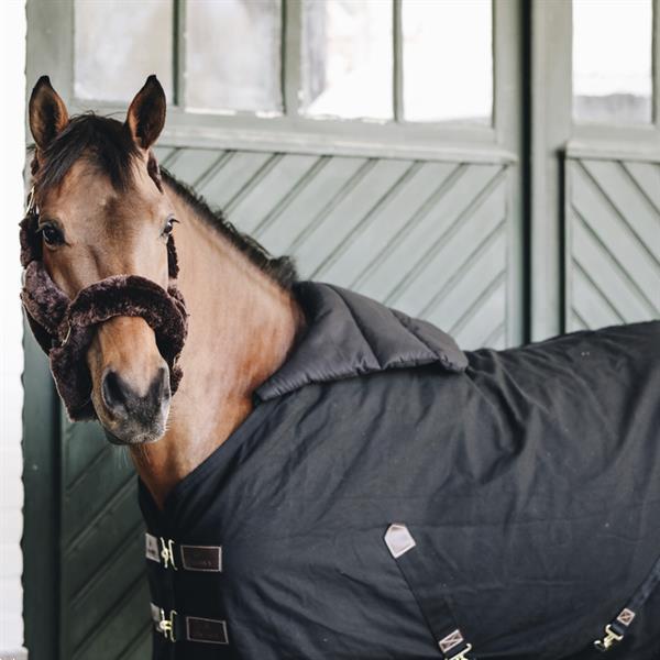Grote foto horse bib summer color navy dieren en toebehoren paarden accessoires
