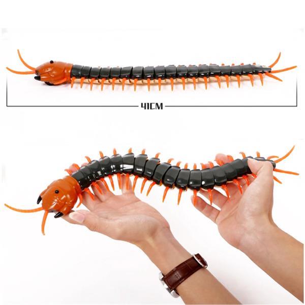 Grote foto rc centipede avec t l commande centipede toy controlable r verzamelen overige verzamelingen