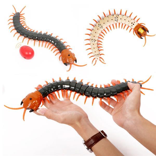 Grote foto rc centipede avec t l commande centipede toy controlable r verzamelen overige verzamelingen
