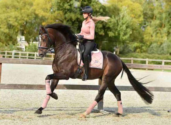 Grote foto saddle pad pink pearl size dressage full dieren en toebehoren paarden accessoires