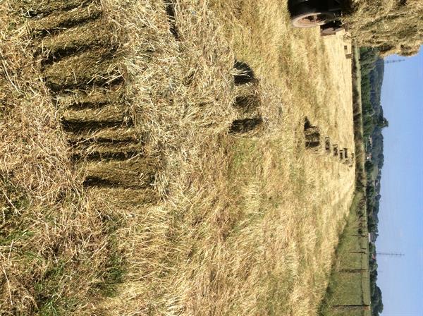 Grote foto kleine balen hooi 2021 dieren en toebehoren overige toebehoren