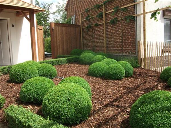 Grote foto tuinwerken grondwerken terrassen diensten en vakmensen tuinmannen en stratenmakers