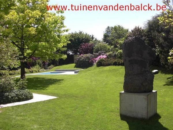 Grote foto tuinwerken grondwerken terrassen diensten en vakmensen tuinmannen en stratenmakers