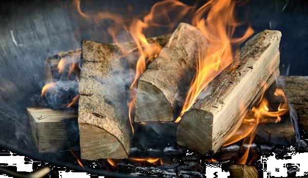 Grote foto brandhout beuk haagbeuk es eik levering tuin en terras openhaardhout