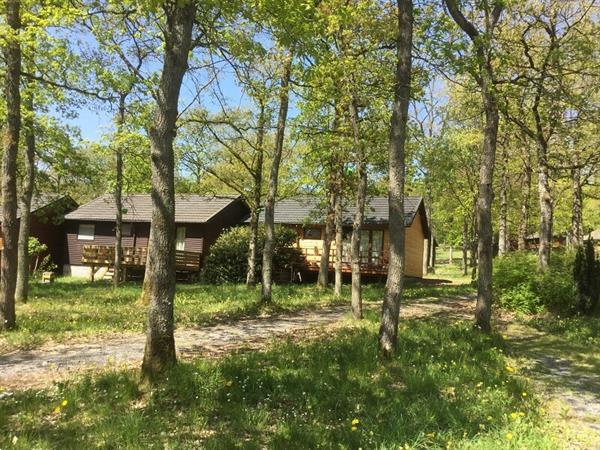 Grote foto chalet voor 4 personen niet ver van durbuy vakantie belgi