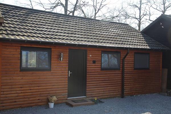 Grote foto chalet voor 4 personen niet ver van durbuy vakantie belgi