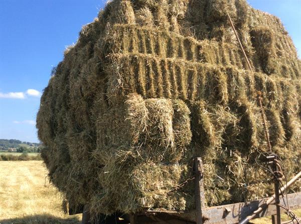 Kleine Balen Kopen Overige Toebehoren