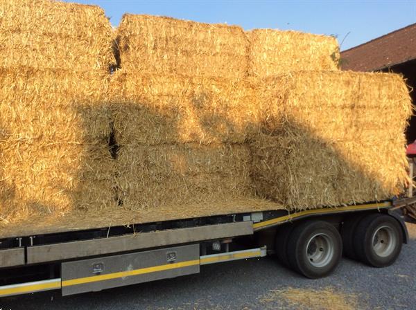 Grote foto grote balen tarwestro dieren en toebehoren overige toebehoren