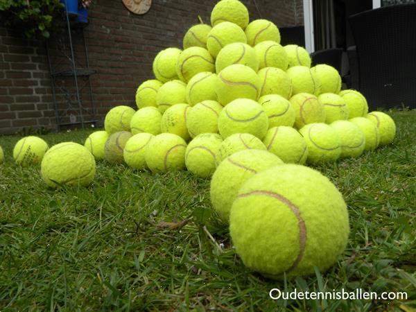 Grote foto veel gebruikte tennisballen dieren en toebehoren toebehoren