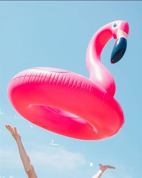 Grote foto opblaasbare flamingo zwemband roze kinderen en baby los speelgoed