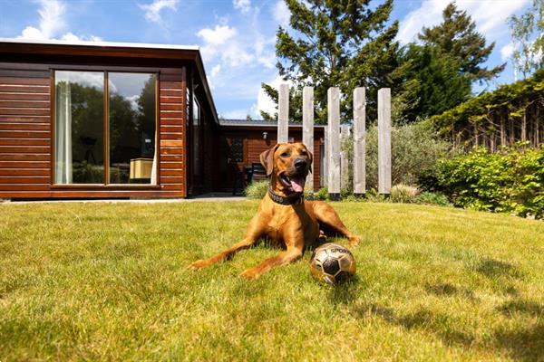 Grote foto welkom bij bungalowpark het verscholen dorp vakantie overige vakantiewoningen huren