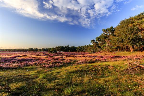 Grote foto welkom bij bungalowpark het verscholen dorp vakantie overige vakantiewoningen huren