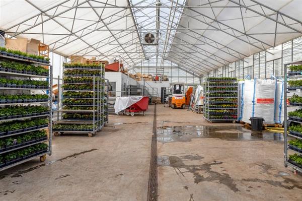 Grote foto 2 tuinbouwbedrijven te koop gezondheidsreden agrarisch glastuinbouw