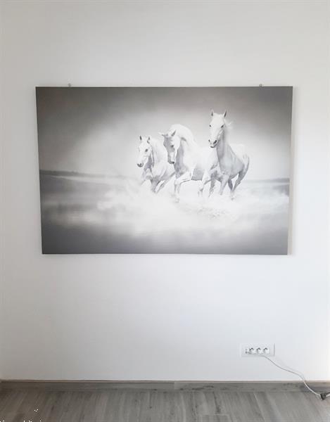 Grote foto canvas paarden op het water grijs wit huis en inrichting woningdecoratie