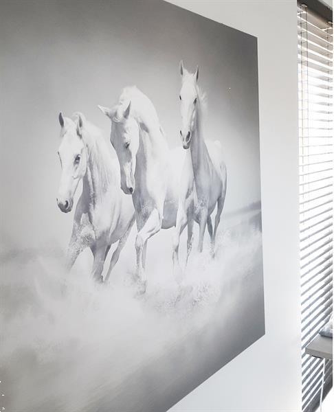 Grote foto canvas paarden op het water grijs wit huis en inrichting woningdecoratie
