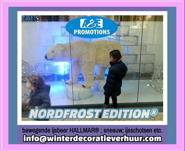 Grote foto bewegende ijsbeer vitrine items brugge gent diversen versiering