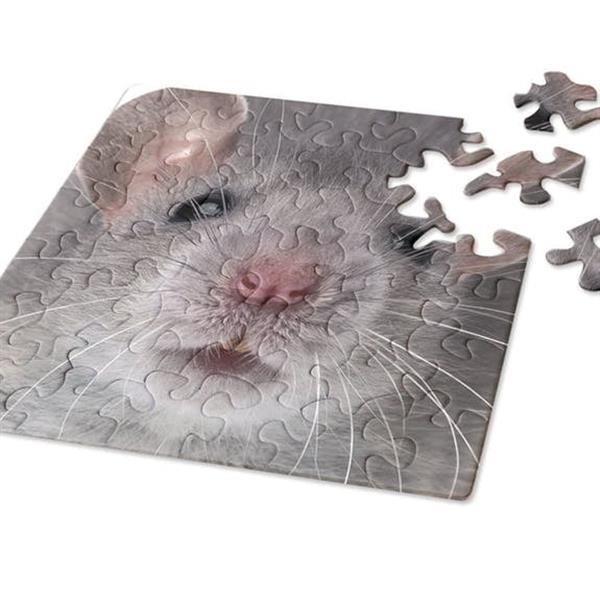 Grote foto curiosi q puzzel moeilijke stukjes muis 49 stukjes verzamelen overige verzamelingen