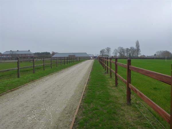 Grote foto dra drill master alle breedtes uit voorraad leverbaar agrarisch akkerbouw