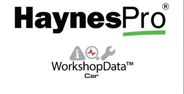 Grote foto haynes workshop data 2020 full pack usb auto diversen handleidingen en instructieboekjes