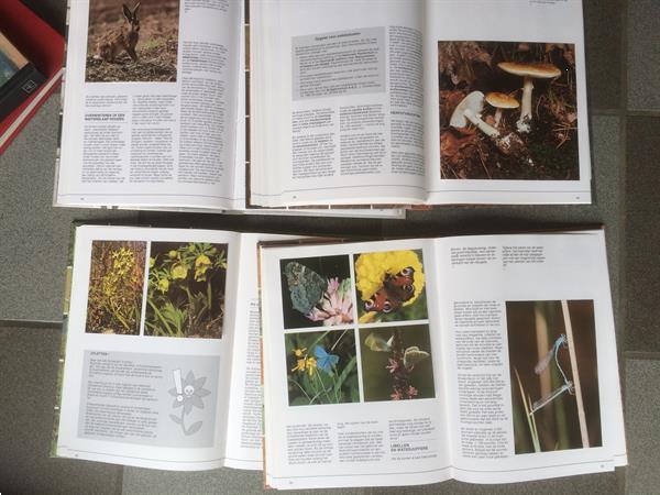Grote foto artis historia reeks de vier seizoenen boeken natuur
