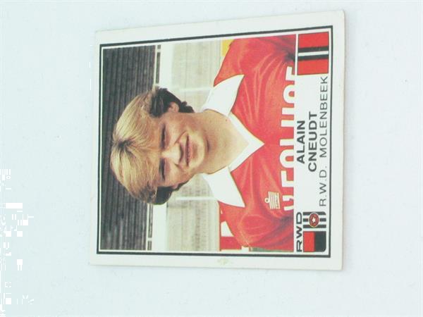 Grote foto r.w.d. molenbeek alain cneudt nr 257 1982 verzamelen stickers