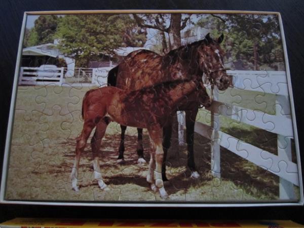 Grote foto vintage junior king jigsaw puzzel met paarden kinderen en baby puzzels