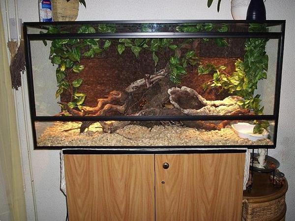 Grote foto topkwaliteit terrariums spotgoedkoop dieren en toebehoren reptielenverblijven