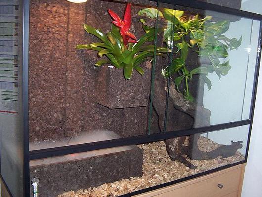 Grote foto topkwaliteit terrariums spotgoedkoop dieren en toebehoren reptielenverblijven