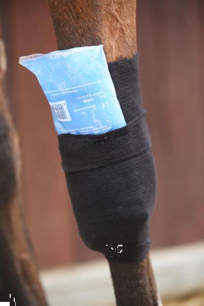 Grote foto tendon grip kous zwart dieren en toebehoren paarden accessoires
