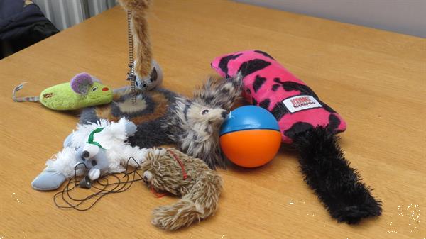 Grote foto speelgoed dieren en toebehoren katten accessoires
