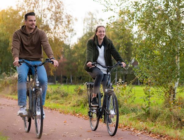 Grote foto amigo e active 28 inch 56 cm heren 6v v brakes matgrijs fietsen en brommers elektrische fietsen