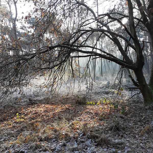 Grote foto wandelmaatje gezocht kapellen contacten en berichten vriendschappen