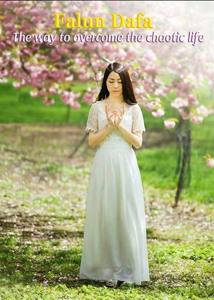 Grote foto rustgevende meditatieavonden met falun dafa diensten en vakmensen cursussen en workshops