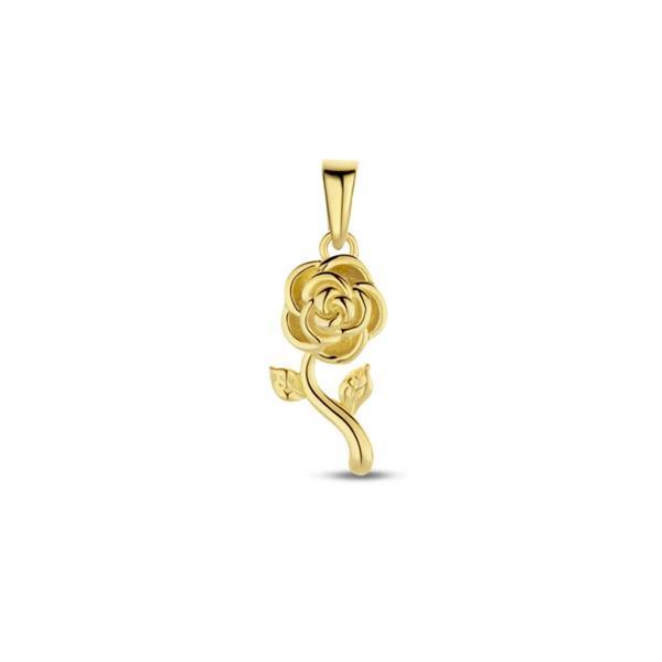 Grote foto goudkleurige roos hanger kleding dames sieraden