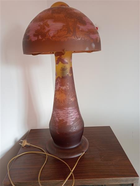 Grote foto gall lamp antiek en kunst lampen
