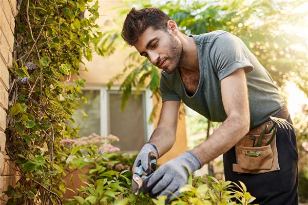 Grote foto tuinonderhoudsdiensten van tuinwerken mike tuin en terras tuindecoratie