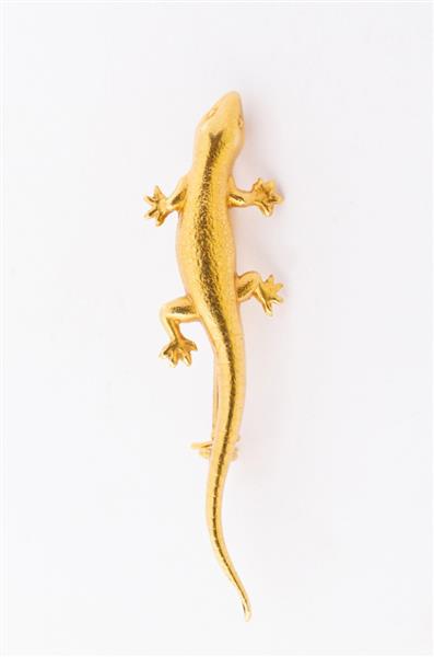 Grote foto gouden salamander broche kleding dames sieraden