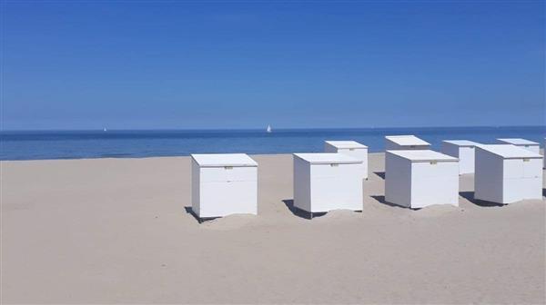 Grote foto genieten aan zee koksijde bad vakantie belgi