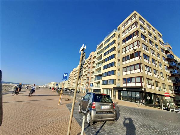 Grote foto panoramisch en frontaal zeezicht vakantie belgi