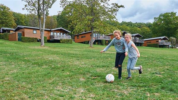 Grote foto chalet voor 5p op een park met zwembad vakantie belgi