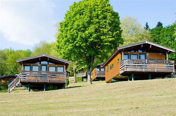 Grote foto chalet voor 5p op een park met zwembad vakantie belgi