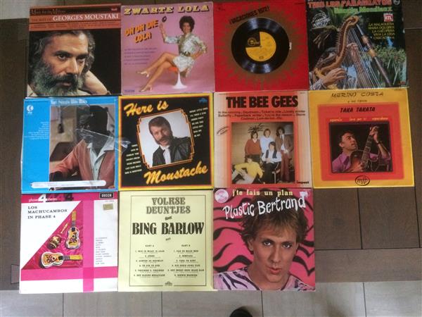 Grote foto vinyl lp allerlei muziek en instrumenten platen elpees singles