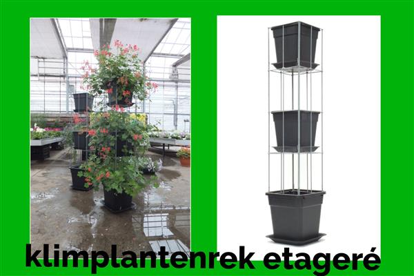 Grote foto aardbeien toren klimplantenrek clematis jasmijn tuin en terras bloemen en planten