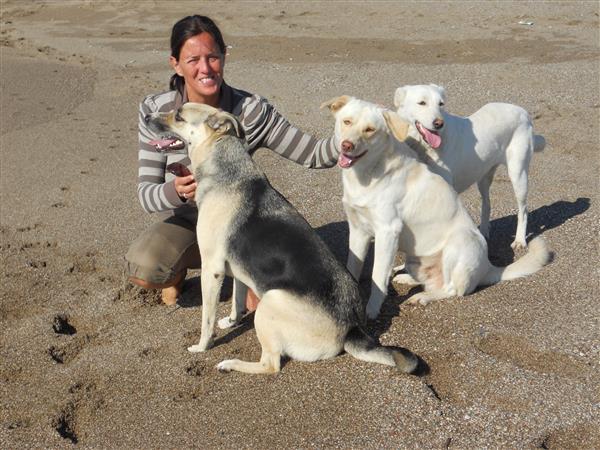 Grote foto huisoppas dierenoppas dieren en toebehoren oppas