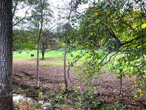 Grote foto basse bodeux trois ponts bouwgrond vas1418 huizen en kamers grondkavels