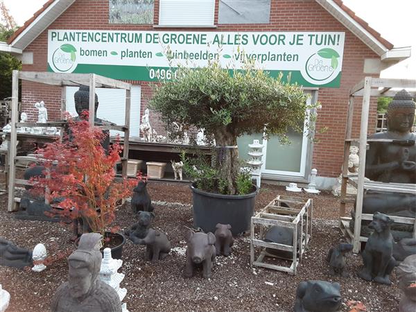 Grote foto pagode in graniet groot aanbod tuin en terras tuindecoratie