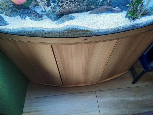 Grote foto te koop aquarium juwel vision 260 l dieren en toebehoren vissenkommen