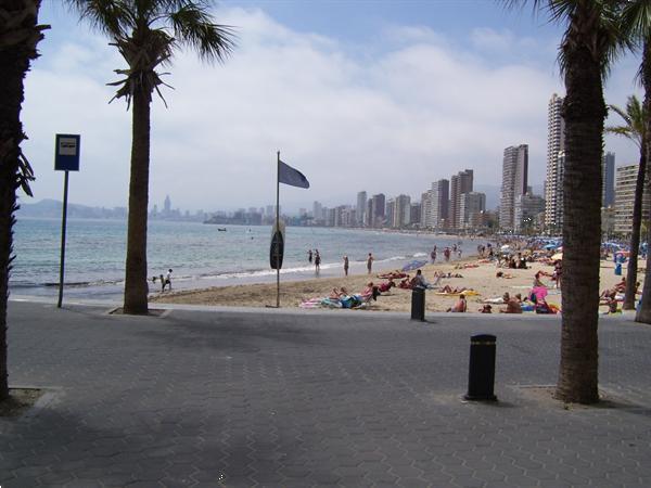 Grote foto costa blanca nu kopen met aankoopbegeleiding huizen en kamers bestaand europa